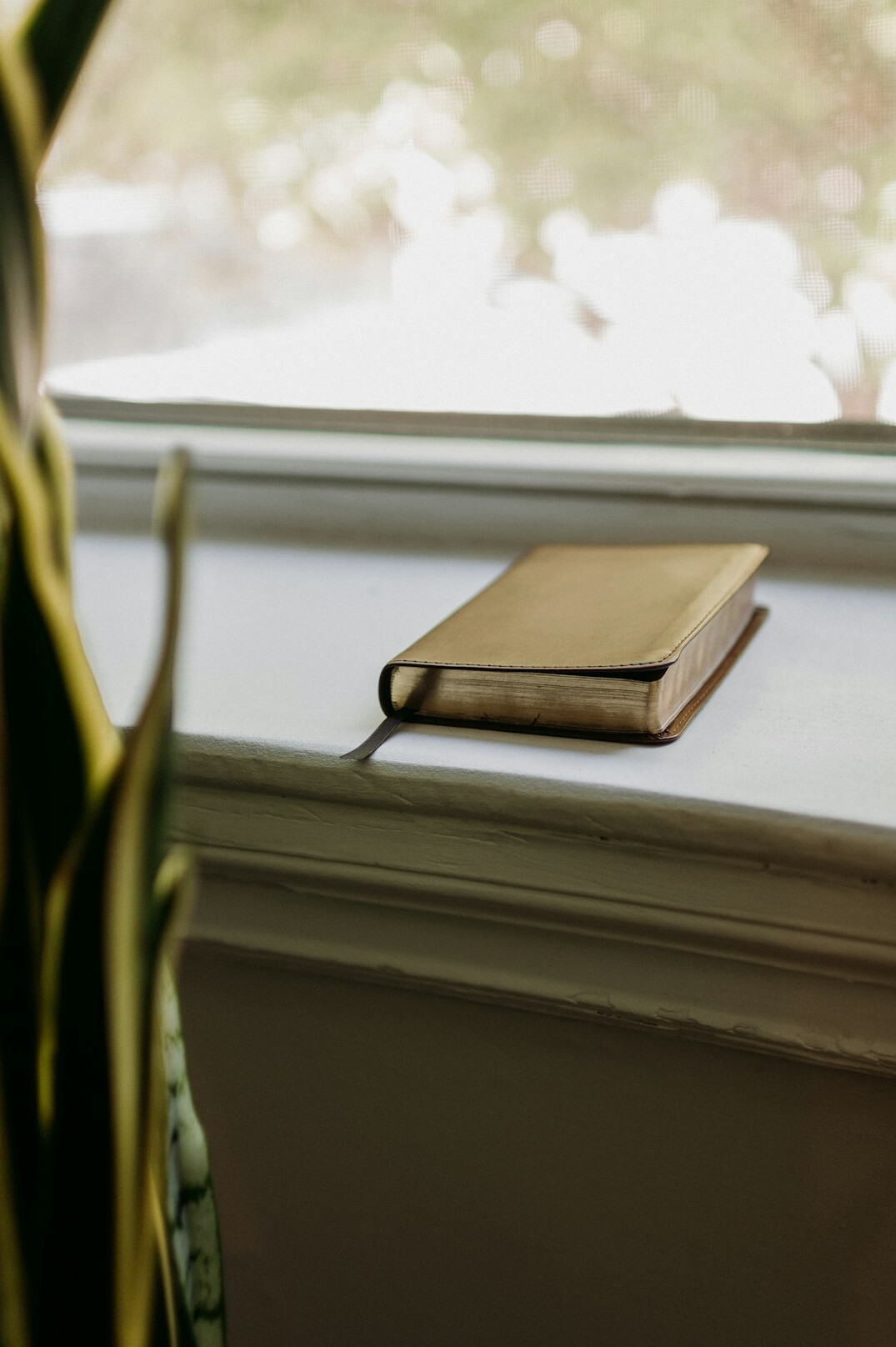 Person writing in a journal near a window